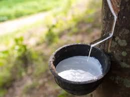 Natural Rubber